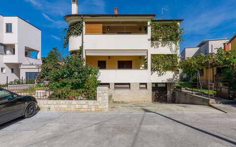 Zrinka: Plante, Bâtiment, Ciel, Fenêtre, Maison, Végétation, Arbre, Biome, Quartier