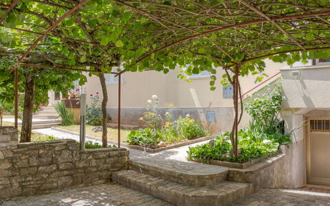 Poreč 117: Plante, Bâtiment, Fenêtre, La Nature, Feuille, Fleur, Botanique, Surface De La Route, Branche, Ombre
