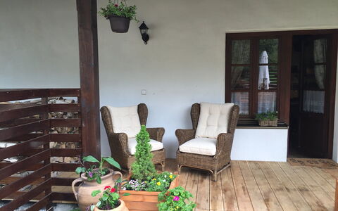 Huty: Plante, Propriété, Bâtiment, Pot De Fleur, Plante D'Appartement, Bois, Design Intérieur, Éclairage, Salon, Maison