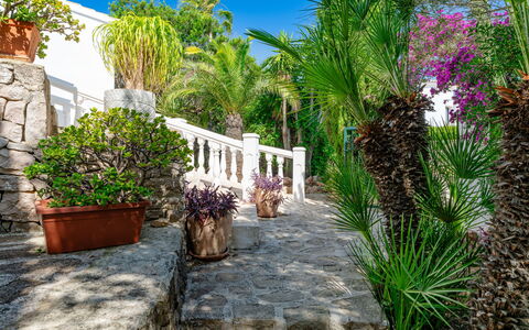 Karima: Arbuste, Jardin, Pot De Fleur, Aménagement Paysager, Recours, Plante D'Appartement, Ombre, Hacienda