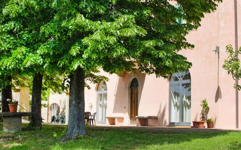 Barberino Valdelsa 155: Plante, Bâtiment, Fenêtre, Feuille, Arbre, Maison, Ombre, Herbe, Tronc, Façade