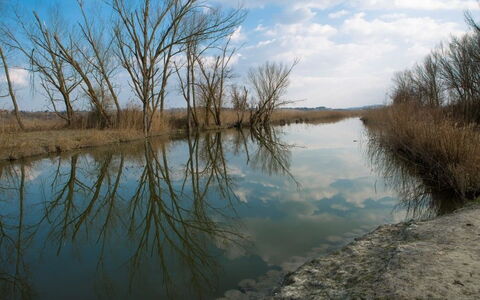 Villa La Fragola: Plan D'Eau, Paysage Naturel, L'Eau, Banque, Ressources En Eau, Environnement Naturel, Réflexion, Rivière