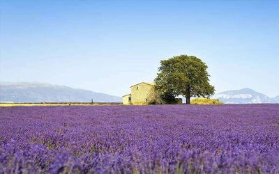 Logements de vacances en Provence